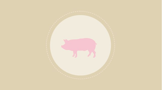 The Carbon Footprint of a Serving of Pork, Motion Graphic